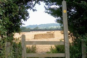 View between points 4 & 5