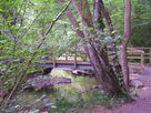 Footbridge over Dowles Brook.