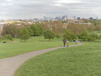 View descending Primrose Hill