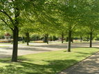 The Broadwalk, Avenue Gardens, Regents Park
