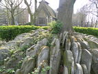 The Hardy Tree, St Pancras Old Church