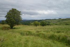 Hisehope Burn valley 1