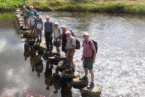 Stepping stones at Stakes (before WP4)