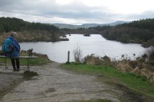 Llyn Elsi from the monument