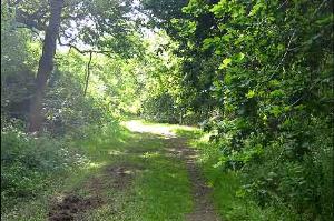 Leicestershire Round in Burbage Common.