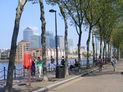 Greenland Dock looking towards Canary Wharf