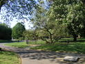 Sayes Court Park