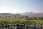 View from route towards Kinder Scout