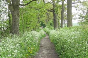 Green Lane