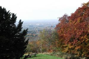 View from Wendover Woods