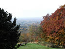View from Wendover Woods