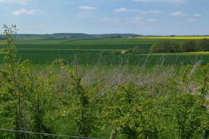 View  right to Arundel