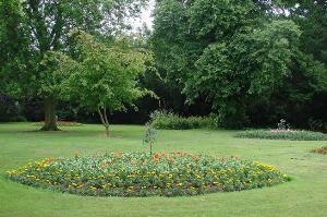 Belgrave Gardens in bloom