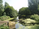 The River Soar