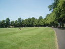 The Oval in Abbey Park