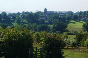 Looking towards Petworth before descending into the Shimmmings Valley