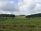 Bradgate Park view towards Old John Tower and War Memorial