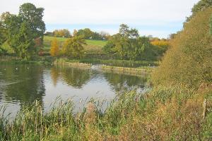 Weir at Thornton Reservoir