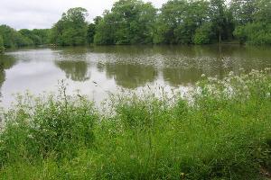 (D) Hammer pond at River Park Farm