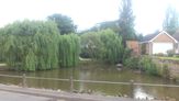 Newton Regis village pond.