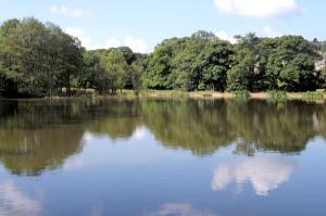 Cotton Mill Dam, Holymoorside
