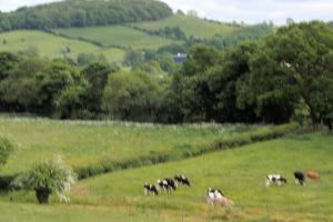 Bole Hill near Wingerworth.