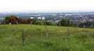Horse and foal grassing on Werneth Low with City of Manchester in the background