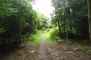 Nothill Woodland Trail