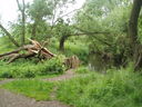 Rothley Brook