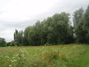 Rothley Brook Meadow