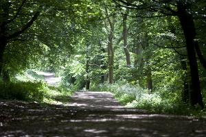 The Aylesbury Outer Ring