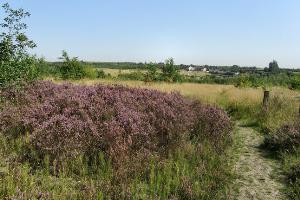 The Spring Cottage Access Area