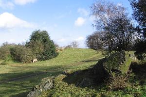 Path approaching Newton Linford