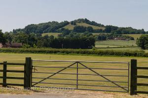 Berrow Hill from Hollins Lane (between 1 and 2)