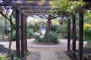 Chumleigh Gardens - Mediterranean Garden