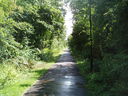 Stokeswood Park - disused railway line