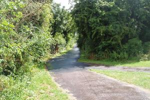 Stokeswood Park - disused railway line