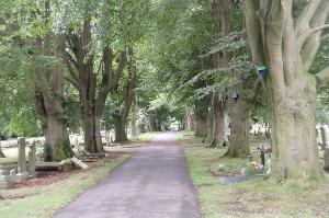 Colourful nesting boxes on tree lined road