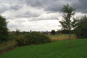 Leicester on the horizon