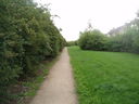 Path at the top of Avington Close