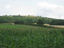 View to Chase End Hill, The Malverns between Point 4 and end of walk