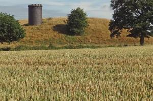 Above the Catesby tunnel