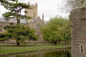 Wells Cathedral
