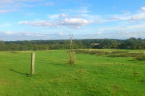 Views across Burbage Common.