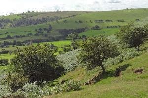 Linley Hill seen from the Knolls