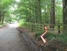 Photo 18.  Go through this kissing gate on your right to enter Old Wood. Turn left and follow a path near the edge of the wood.