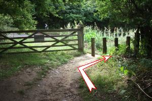 Photo 5.  Turn right and walk along a field edge path near the road, then cross the road.