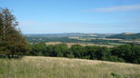 View from Barlavington Down
