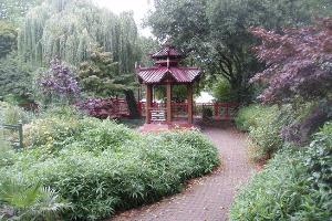 The Friendship Garden