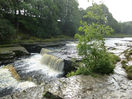 Aysgarth Upper Force